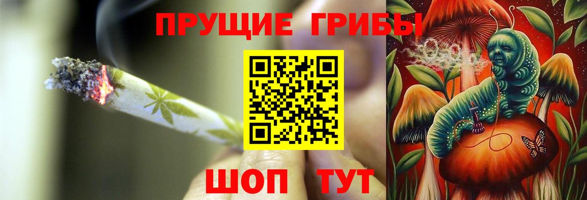 Галлюциногенные грибы ЛСД  Вход с VPN  Вичуга  Псилоцибиновые грибы мицелий 